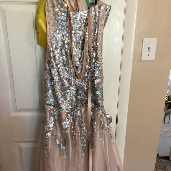 Beige with silver sequins Gown - Picture 2 of 6